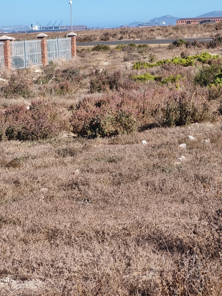  Bedroom Property for Sale in Saldanha Industrial Western Cape